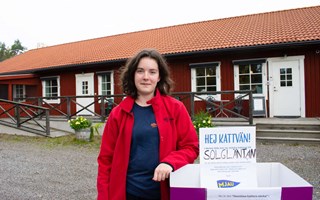 Här samlas mat till hemlösa katter in
