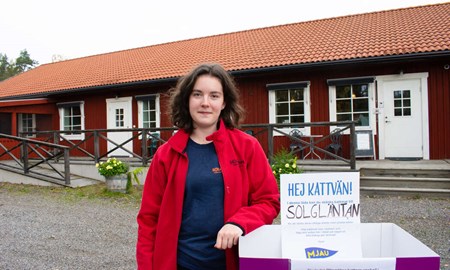 H�r samlas mat till heml�sa katter in