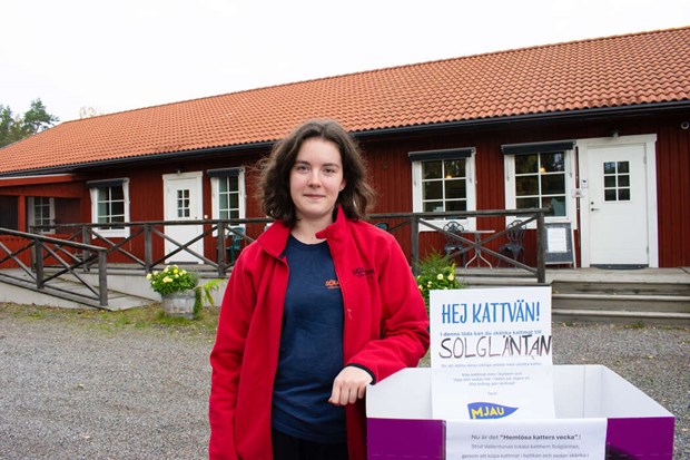 H�r samlas mat till heml�sa katter in