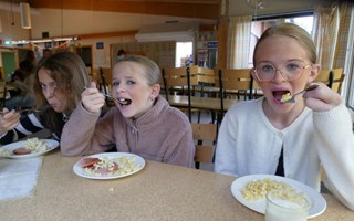 Falukorv favorit p� M�ltidens dag