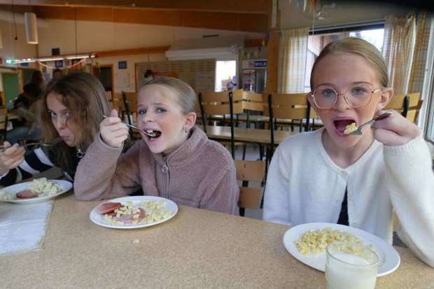 Falukorv favorit på Måltidens dag Falukorv favorit på Måltidens dag